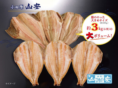【小田原　山安】大きな縞ほっけ開き干し　約３ｋｇ（６枚）【 干物 神奈川県 小田原市 】