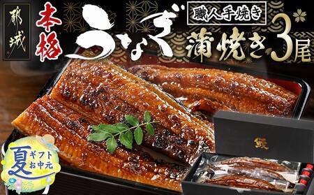 【お中元】職人手焼きの本格うなぎ蒲焼き3尾_AC-3301-SG_(都城市) 鰻蒲焼 3尾 (総重量450g以上) タレ付き (30ml×3個) 国産うなぎの蒲焼き 特製たれ付き 冷凍 ウナギ かば焼き お中元 夏ギフト
