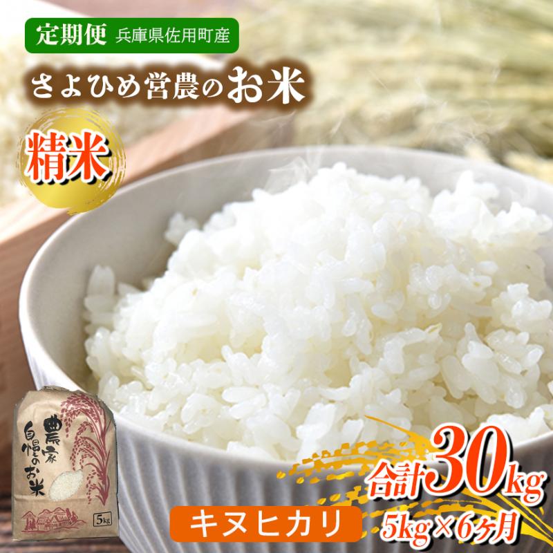 【ふるさと納税】【6ヵ月定期便】兵庫県佐用町産 お米 5kg×6ヵ月 (計30kg) 精米 キヌヒカリ