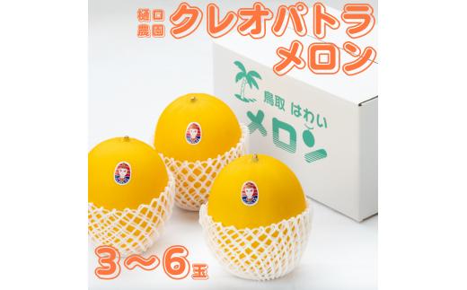 21K.樋口農園のクレオパトラメロン 3～6玉