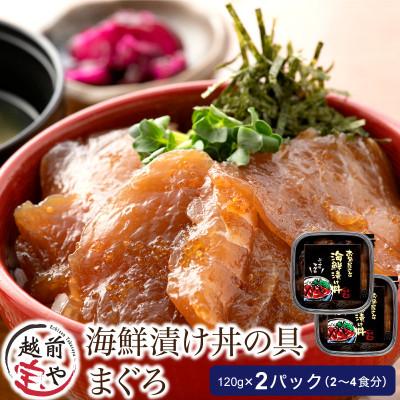 ふるさと納税 福井市 海鮮漬け丼の具 マグロ / 120g×2パック(2〜4食分)