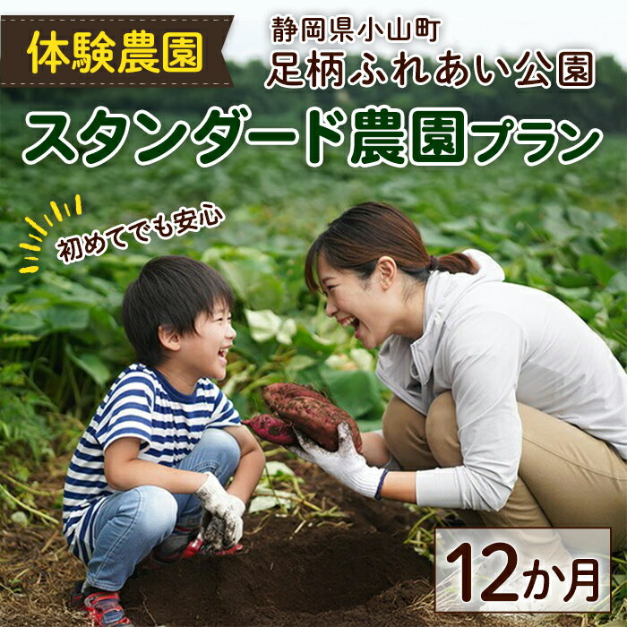 【ふるさと納税】足柄ふれあい公園 体験農園 スタンダード農園プラン（12か月） | 体験チケット 農業 家庭菜園 農園 野菜作り 栽培 収穫 野菜 貸農園 畑 1年間 1年 静岡県 小山町 送料無料