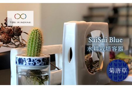 【美濃焼】SaiSui Blue（菊唐草）【大東亜窯業】【TOKI MINOYAKI返礼品】≪土岐市≫ 鉢 プランター インテリア かわいい おしゃれ 園芸 ガラス 陶磁器 磁器 コンパクト 水耕栽培 観葉植物 ブルー 青 ネイビー 藍色 染付 唐草 送料無料 [MAG007]
