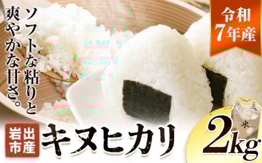 米 令和7年産 新米 無洗米 キヌヒカリ 約2kg 《2025年10月中旬‐1月中旬頃出荷》東農園 和歌山県 岩出市 米 こめ コメ きぬひかり 白米 送料無料