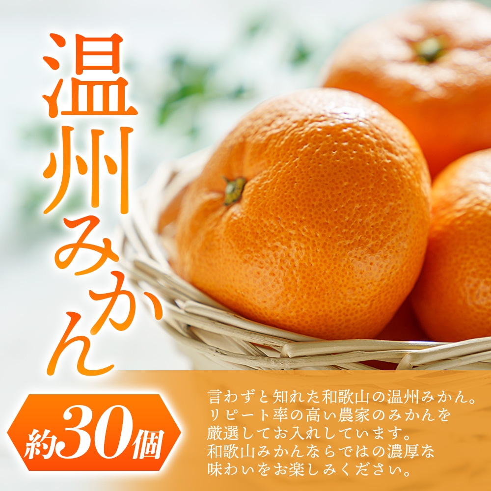【先行予約】 道の駅くしがきの里セット 富有柿3個・温州みかん約30個の詰め合わせ こだわり農家厳選  【2025年11月中旬頃から2026年1月中旬頃順次発送】 | みかん 温州みかん 柿 富有柿 