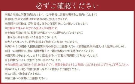 【 体験期間 6月1日ー9月30日 】 羊 飼いと行く 阿蘇 の草原歩き 体験 「私も 羊 も パートナー 」 4名様1組  体験 動物 羊 熊本県 自然 チケット 観光 レジャー