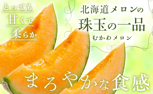 ＜2025年発送先行受付＞ほべつメロン2玉(約1.6kg×2玉)＜むかわ町穂別特産品＞ MKWR002