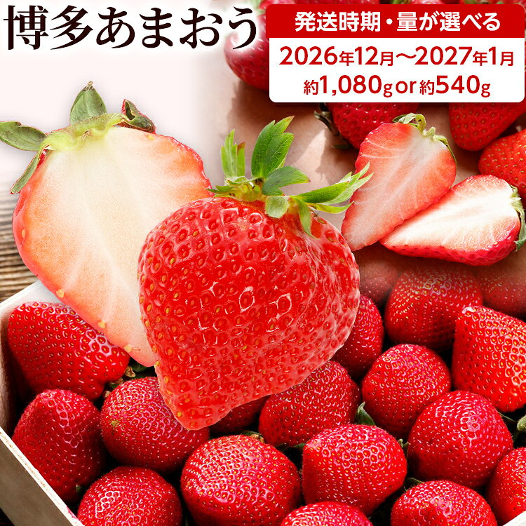 【ふるさと納税】【先行受付】農家直送 朝採り新鮮いちご【博多あまおう】＜12月～1月順次出荷予定＞ 量を選べる 1080g 540g 福岡県産 苺 イチゴ 朝採れ 冷蔵 スイーツ ジュース ギフト プレゼント お土産 九州 福岡土産 ※北海道・沖縄・離島は配送不可