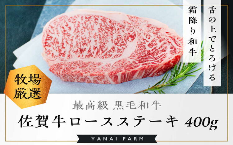 《佐賀牛》「梁井」霜降りロースステーキ 2枚 400g【佐賀牛 霜降り肉 ロース肉 サシ ステーキ 肉汁 とろける やわらか 美味しい ブランド肉】 B-J081010