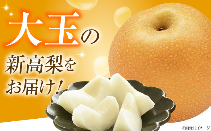 稲田ペアファームの新高梨 （にいたかなし） 4～6玉 〈2026年9月～発送〉 ／ フルーツ 果物 くだもの 食品 人気 おすすめ 梨 なし 新高梨 にいたかなし 和梨 甘い 高糖度 【株式会社内子フ