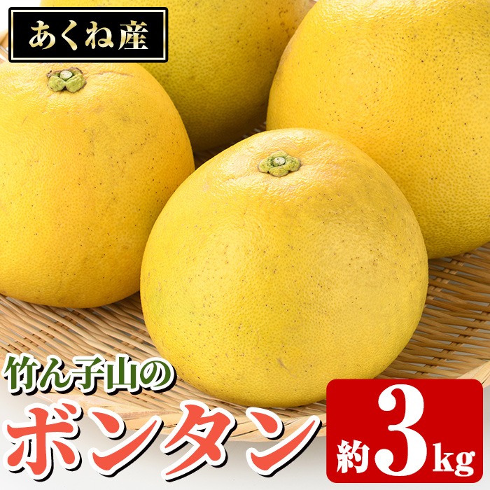 竹ん子山のボンタン(約3kg) 国産 鹿児島県産 阿久根産 柑橘 果物 フルーツ ぼんたん 文旦 果実 期間限定 【竹ん子山】akn097-11