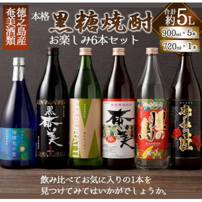 ふるさと納税 天城町 奄美酒類 黒糖焼酎 お楽しみ 6本セット 900ml×5本 720ml×1本 バラエティ 徳之島
