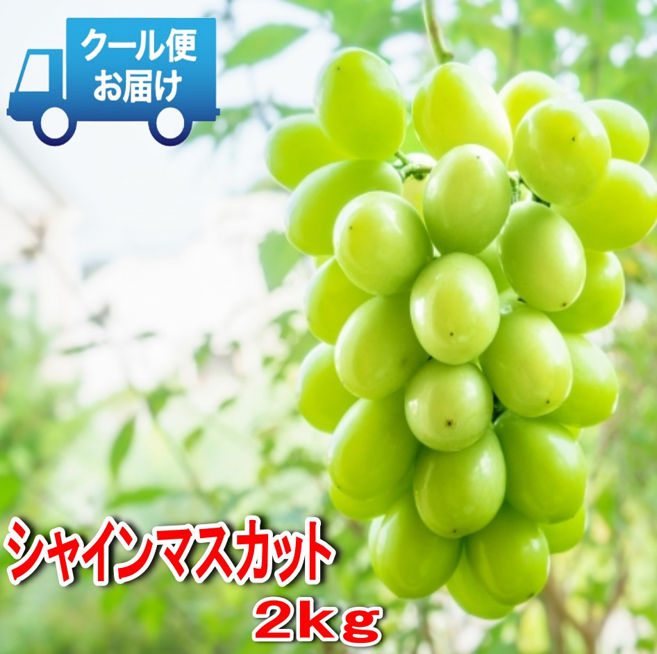 
＜2024年発送＞安心のクール便発送　収穫当日に産地直送　シャインマスカット 2kg (3～4房) 179-002
