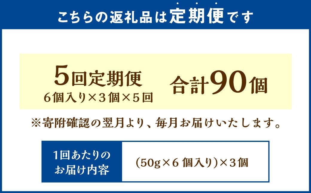 【5回定期便】 北海道ミニフロマージュ （プレーン） 約900g×5回 合計約4.5kg