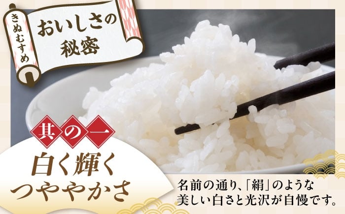 近江米 きぬむすめ キヌムスメ 滋賀県産 国産 5kg 米 コメ お米 白米 ご飯 おにぎり ご飯のお供 お弁当 親子丼