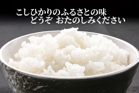 【定期便 24回 竹コース】 坂井市産コシヒカリ 10kg×24回 計240kg ～驚愕のコシヒカリ2年分～【限定10セット】【Q-3251】