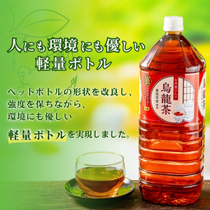 烏龍茶 茶 ウーロン茶 2L 24本 飲み物 飲料 お茶 茶