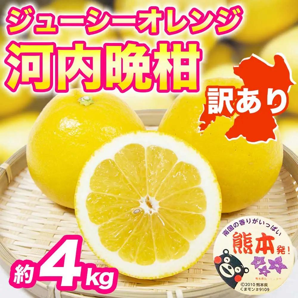 先行予約 訳あり 河内晩柑 ジューシーオレンジ みかん 約4kg 【2027年3月上旬～4月中旬発送予定】