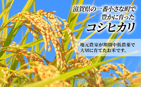 コシヒカリ お米 5kg 無洗米 令和7年産 コシヒカリ