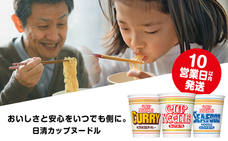 10営業日以内発送 日清ヌードル3種セット 各1箱（20食入）合計60食