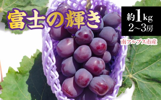 【2026年発送先行予約】南アルプス市産　富士の輝き1.0kg(2～3房) ALPDD022　|  |