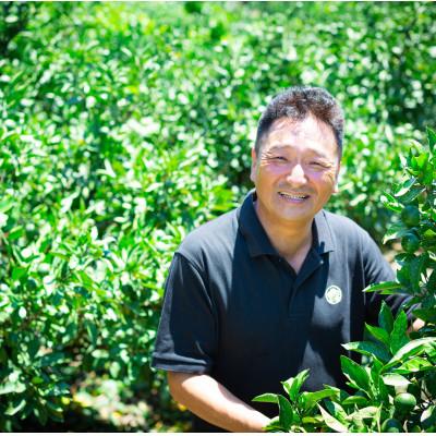 ふるさと納税 八幡浜市 【発送月固定定期便】「蜜時(みつどき)便り」高級3品種　まどんな+甘平+せとか【H64-91】全3回 |  | 03