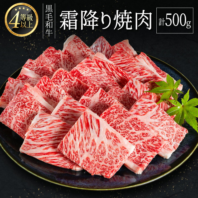 【ふるさと納税】＜肉質等級4等級以上＞黒毛和牛 霜降り 焼肉 計500g 牛肉 BBQ 国産 宮崎県産