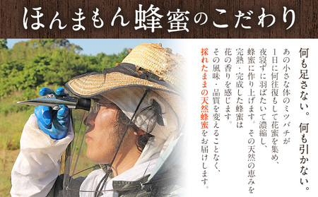 ほんまもん蜜柑（みかん）蜂蜜 1200g×4本 計4800g 村上養蜂《2025年6月上旬-翌年4月末頃出荷予定》和歌山県 紀の川市はちみつ