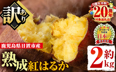 さつまいも サツマイモ 紅はるか 訳あり 2kg 末永商店 No.560-C