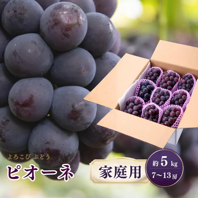 家庭用 ピオーネ 約5kg 7～13房 岡山県新見市 もりおか農園 よろこびぶどう  【先行予約 2026年9月上旬から順次発送】