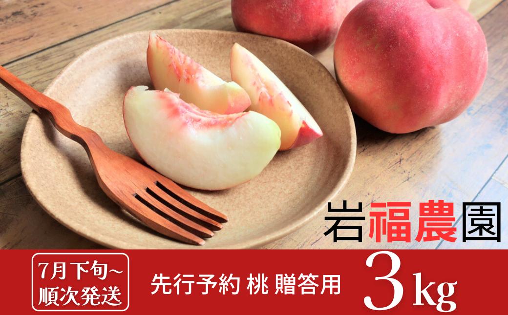 
            桃 約3kg (7～11個入)  [7月下旬から順次発送予定] 贈答用 新潟県産 もも 三条市 [岩福農園] 【010P042】
          