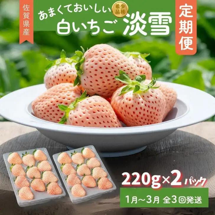 先行受付開始！【定期便3回】希少価値 佐賀県産 いちご 淡雪 220g（6玉～20玉）×2パック 2027年1~3月発送：B395-008