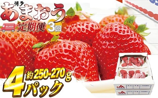 M870-0【2026年2月~4月配送】博多あまおう 250g~270g×4パック【3回定期便】