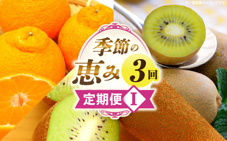 季節の恵み3回定期便I_mk165-t024