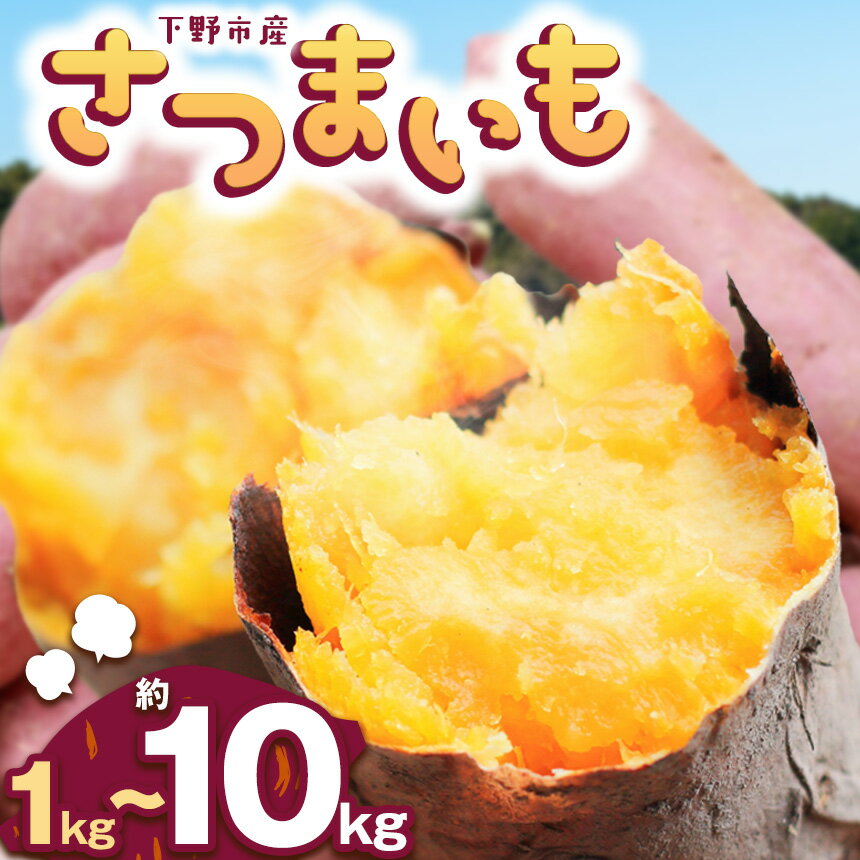 【ふるさと納税】【先行予約】下野市産さつまいも 選べる内容用1～10kg | さつまいも 芋 さつまいもご飯 炊き込みご飯 スイートポテト 大学芋 栗きんとん 秋 さつまいも 秋の味覚 栃木県 下野市 しもつけ市
