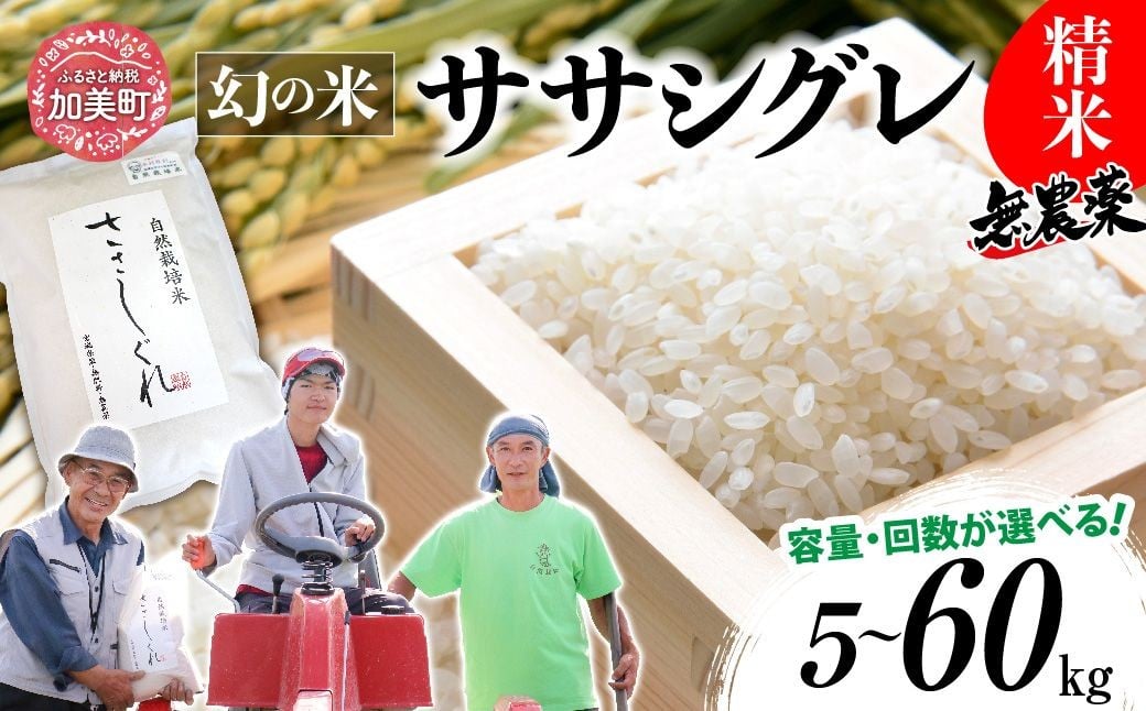 
                  《 希少品種米 》  米 令和7年 宮城県産 ササシグレ  ( 栽培期間中農薬 ・ 肥料不使用 ) 精米 5kg 10kg 単品 3ヶ月 6ヶ月 定期便 も 選べる  [ 宮城県 加美町 ]  無農薬 米 お米 こめ コメ 精米 白米 玄米 ささしぐれ nt-r7
                