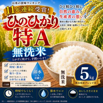 ふるさと納税 玉名市 【熊本県産】 ひのひかり 無洗米 5kg