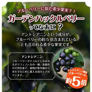 【７月1日より価格改定】GH（ガーデンハックルベリー）ジャム2個&飲む酢2本セット 岩手県奥州市江刺産[BB004]