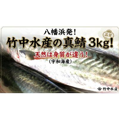 ふるさと納税 八幡浜市 竹中水産の真鯖3キロ!【D22-240】