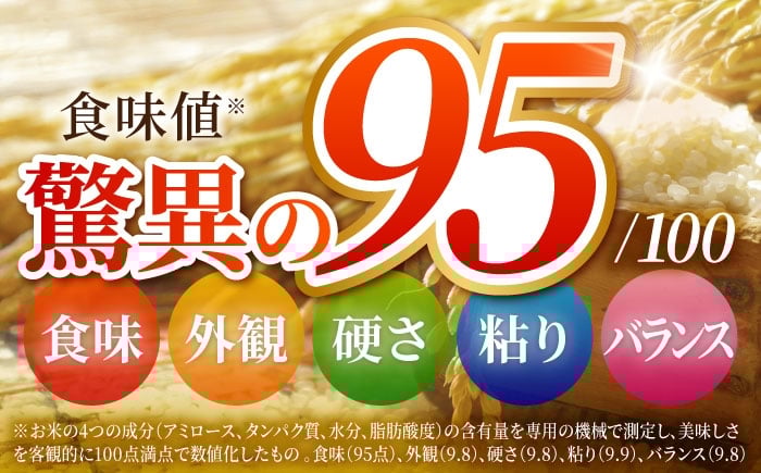 米 白米 精米  お米 米 kome 白米 ご飯 こめ ごはん ライス 5kg