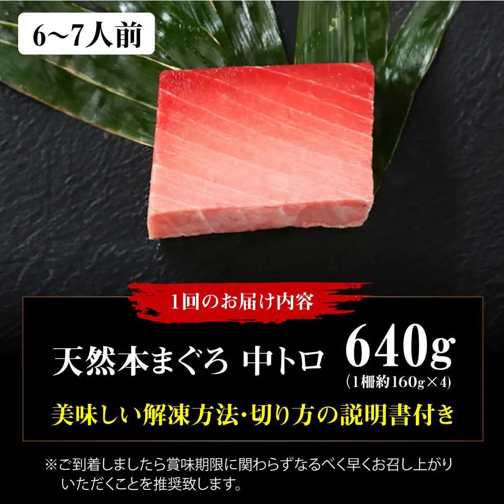 【全12回定期便】たね熟天然本まぐろ中トロ(640g)[AOCE036]マグロ