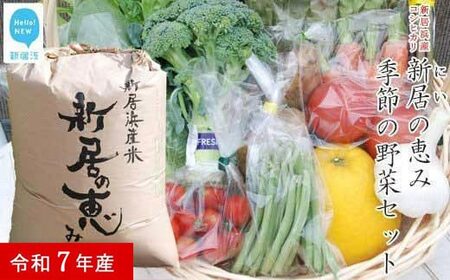 新米 白米 令和7年産 「新居の恵み（コシヒカリ）」5kg と季節の野菜2kgセット（クール便でお届け）