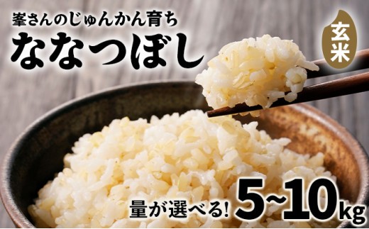 
                  【選べる内容量！】令和7年産！岩見沢産 特別栽培米 峯さんの「ななつぼし」玄米5kg〜10kg
                