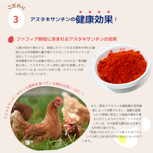 かっぱの健卵 20個入り【大熊養鶏場】たまご 卵 玉子 タマゴ 生卵 こだわり 卵かけご飯 TKG 国産 お取り寄せ 北海道 比布町 ぴっぷ 1006-002