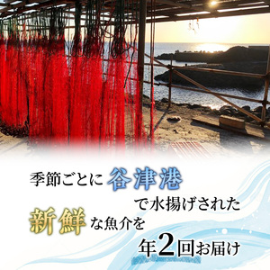 伊勢海老 アワビ サザエ 定期便 年2回 海からのお届け物 伊勢エビ 3～8匹 さざえ 4～15個 あわび 3～5枚 伊勢えび 海老 エビ えび 鮑 貝 魚介 魚介類 海鮮 海鮮セット セット 詰め合