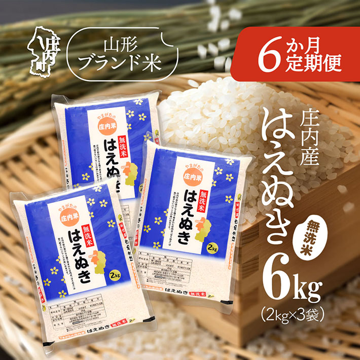 ＜2月中旬発送＞庄内米6か月定期便！はえぬき無洗米 6kg（入金期限：2026.1.25）