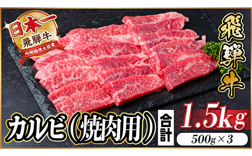 飛騨牛 厳選カルビ(焼肉・BBQ用) 1.5kg(500g×3)　黒毛和牛　小分け　A4〜A5等級【配送不可地域：離島】【1543785】