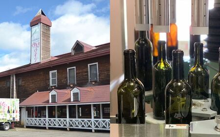 滝沢りんごワイン ポムライト 720ml 【岩手くずまきワイン】 酒 お酒 ワイン 白ワイン 低アルコール 甘口 林檎 リンゴ りんご アップル 贈り物 プレゼント ギフト プチギフト バレンタインデ