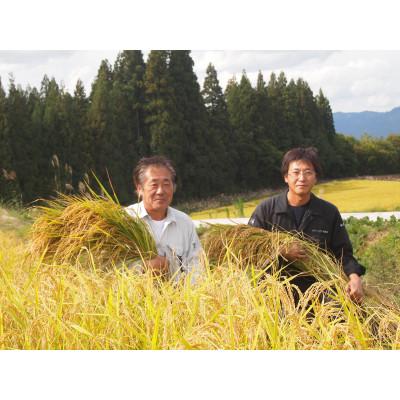 ふるさと納税 津南町 【令和7年産】最高級魚沼産こしひかり【ダイヤモンド褒賞受賞　特別栽培米】10kg(5kg×2) |  | 01