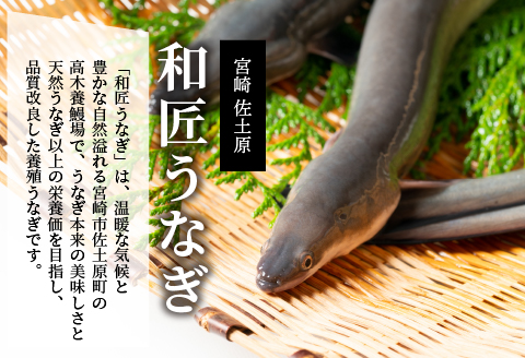 備長炭手焼き 宮崎市佐土原産 和匠うなぎの蒲焼カット10パックセット(計1kg) 山椒付き